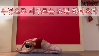 [서리요가#432] 고요하고 차분하게 37분 하타요가 / 머무르며 바라보기