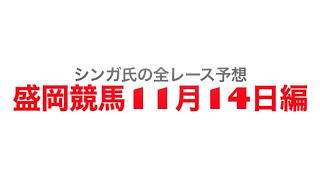 11月14日盛岡競馬【全レース予想】ブルーアンバー賞2022