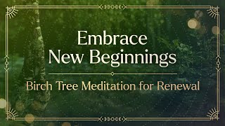 Embrace New Beginnings | Birch Tree Meditation for Renewal