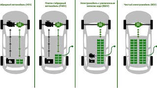 Какие бывают электромобили и гибриды? #секрет #энерголикбез #ev #электромобиль