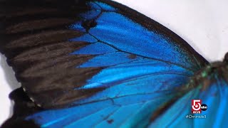 Nicole's Favorites: The interesting psychology and technology behind color