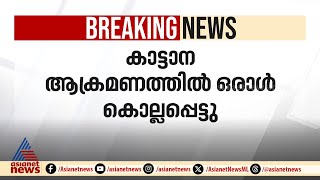 മറയൂരിൽ കാട്ടാന ആക്രമണത്തിൽ ഒരാൾ കൊല്ലപ്പെട്ടു