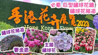 香港花卉展覽2023｜維園花展首日實測 繡球花主題+鬱金香｜率先睇打卡靚位｜ Hong Kong Flower Show 2023