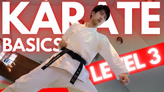 Never Suffer From WEAK Legs Again!【Karate Kihon/Basics Level 3】