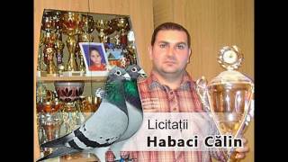 Licitatie ” Habaci Calin ”