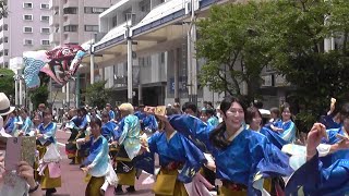 @２０２３年６月４日@湘南よさこい祭り２０２３@法政大学YOSAKOIソーランサークル鳳遙恋（ほうようれん）@ 11:47