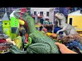 amazing jurassic world dinosaurs t rex velociraptor spinosaurus megaraptor giganotosaurus