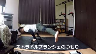 2020年02月22日　プランシェの練習　4日目　Planche Training Day4