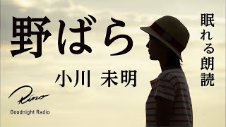 【眠れる朗読】小川未明『野ばら』原文字幕つき【眠くなる声・読み聞かせ・睡眠導入】