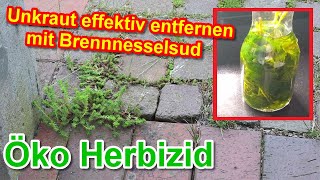 Unkraut effektiv vernichten mit Brennesseljauche Brennesselsud gegen Unkraut Öko Herbizid herstellen