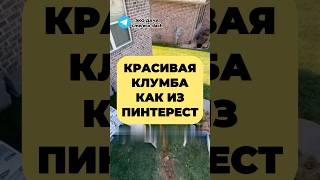 КРАСИВАЯ КЛУМБА КАК ИЗ PINTEREST