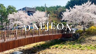 Gyeryongsan 계룡산 🇰🇷 | Hiking, Cherry Blossoms, Seafood pancake, Makgeolli, Teri cafe | 한글자막by링링이