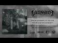 Veldraveth  - On The Precipice Of Enlightment (Single Track)