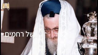 אביהם של ישראל - שיר מרגש - לכבוד הילולת מרן הרב מרדכי אליהו