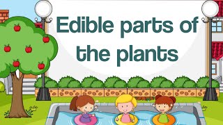 Edible parts of plants || Different parts of plants that we eat as vegetables || Animation video