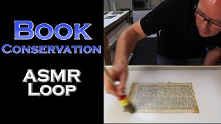 ASMR Loop: Book Conservation - Unintentional ASMR - 1 Hour