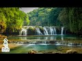 Tranquil Reverie: Relaxing Zen Music with Water Sounds • Peaceful Ambience for Spa, Yoga, Work