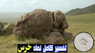 نمادخرس یکی از باارزشترین نشانه های گنج#تفسیرکامل نمادخرس