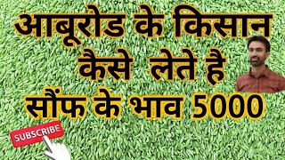 13) saunf ki kheti DAY-200। सौफ की खेती । सौंफ में 5000 के भाव कैसे ले। increase fennel seed quality