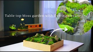 making a  tabletop moss garden with a flowing stream
