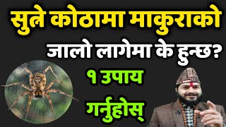 सुत्ने कोठामा माकुराको जालो आयो भने के हुन्छ ? Vastu Tips || Jyotish Thakur Devkota