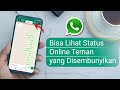 Cara Melihat Status Online Teman yang Disembunyikan di Whatsapp