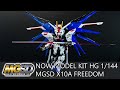 NOW MODEL KIT - ZGMF - X10A Freedom Gundam