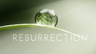 Resurrection (ABC) Trailer