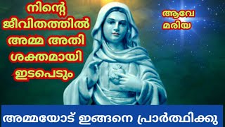 നിൻറെ ജീവിതത്തിൽ കൃപാസനം അമ്മ അതിശക്തമായി ഇടപെടും #kreupasanam #കൃപാസനം #kripasanam