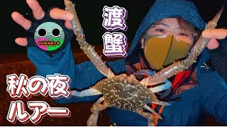 【鹿児島釣り】夜のルアー釣りに行ったらまさかの獲物が釣れた！【ワタリガニ】