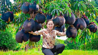 Harvest Black Butt Fruits \u0026 Go to Market Sell - Gift of Nature | Women Survive Alone in Forest