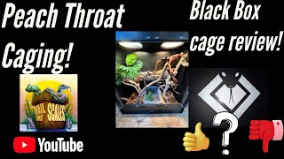 Peach Throat Set up! Black Box cage review!