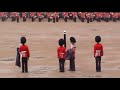 rare uncaping drill trooping the colour colonel s review 2014.