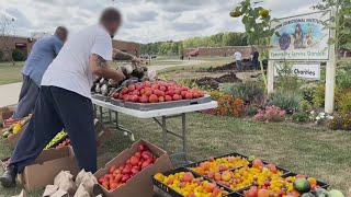 Prison garden at Grafton Correctional Institution: Inmates help donate 20,000 pounds of produce