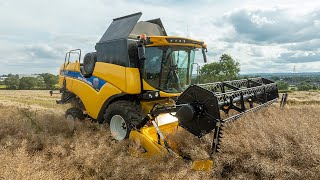 🌾 New Holland CX5.80 Harvesting OSR | Drumcroon Farms | Northern Ireland