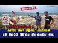 WARNING: Don't Swim Here! Hidden Dangers in Paradise: Exposing Sri Lanka's Deadly Sea