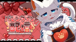 【雑談枠】バレンタインのチョコって何個もらったことある？【ケモノVtuber】