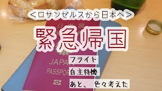 日本へ緊急一時帰国【移住して３０年　アメリカで働く５０代】