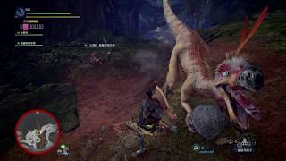 Monster Hunter World [搔鳥是收藏家?] 渣技術單機 我可以走多遠?