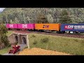 train h0 roco backbone vectron