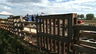 Au pied des Pyrénées, des zadistes à la rescousse des riverains