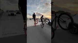 Casually Taking Over Miami Bridges With Wheelies 😂 #miami #sunset #wheelie #shorts