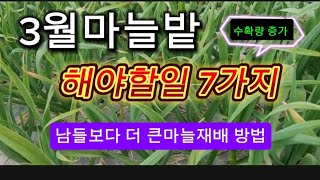 2월/3월 꼭해야할일7가지.아무도가르쳐주지않는것~이영상하나면 마늘.양파 고수가능?!! 마늘농사 쉽게하세요^^ 귀농.귀촌참고하시면 좋습니다~