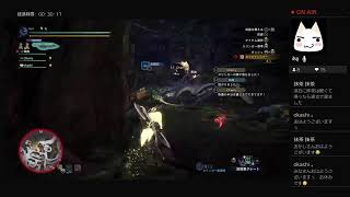 エンジョイ勢が行くぐうたら主婦のMHW:IBシーズン2  #143