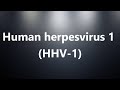 Human herpesvirus 1 (HHV-1) - Medical Meaning and Pronunciation