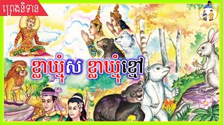 រឿងខ្លាឃ្មុំសខ្លាឃ្មុំខ្មៅ #និទានតាមរូបភាព រឿងនិទានខ្មែរជាមួយរូបភាព រឿងនិទានកំសត់ និទានជាមួយភ្លេង