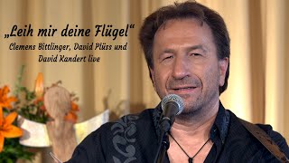 Leih mir deine Flügel - Das Konzert