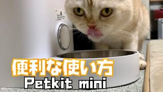 自動給餌機(Petkit mini)の便利な使い方2選！！