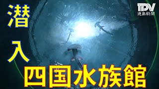 四国水族館行ってみた・動画編 【4月13日グランドオープン】