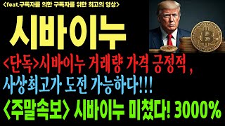 [급등가자] 시바이누 시바이누코인 시바이누코인전망 shib doge btc 코인전망 비트코인 이더리움 도지코인